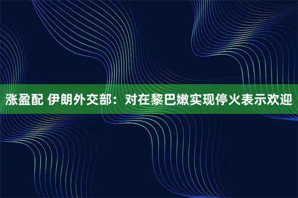 涨盈配 伊朗外交部：对在黎巴嫩实现停火表示欢迎