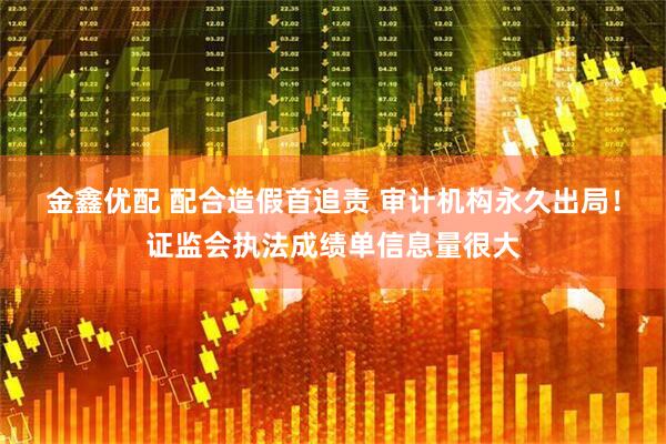 金鑫优配 配合造假首追责 审计机构永久出局！证监会执法成绩单信息量很大