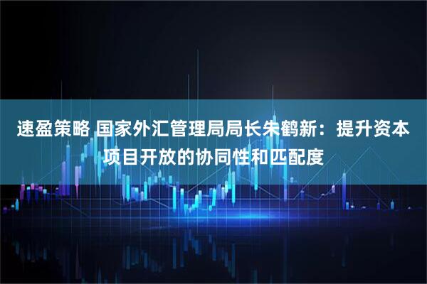 速盈策略 国家外汇管理局局长朱鹤新：提升资本项目开放的协同性和匹配度