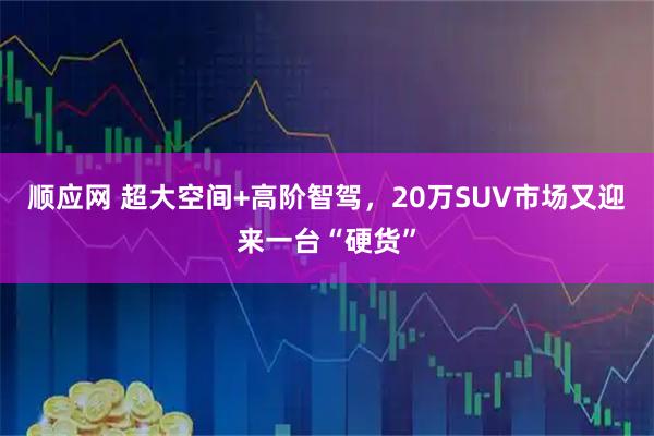 顺应网 超大空间+高阶智驾，20万SUV市场又迎来一台“硬货”