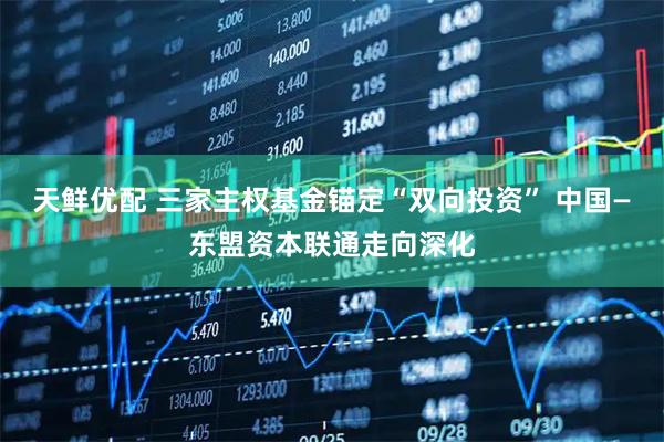 天鲜优配 三家主权基金锚定“双向投资” 中国—东盟资本联通走向深化