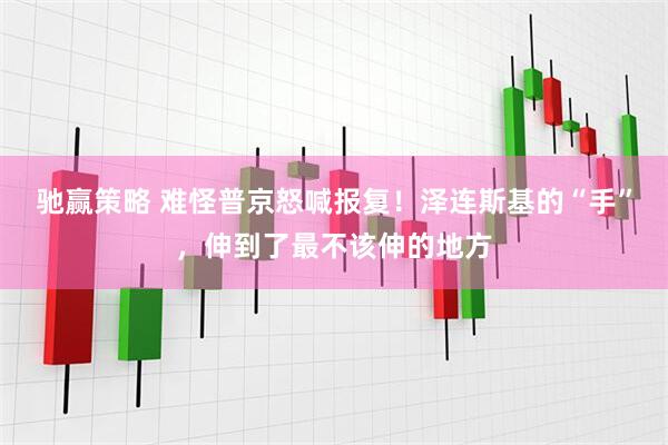 驰赢策略 难怪普京怒喊报复！泽连斯基的“手”，伸到了最不该伸的地方